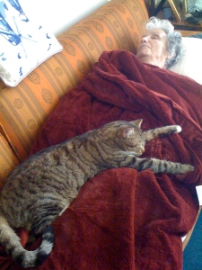 Kitty-Kitty & Mom; afternoon nap